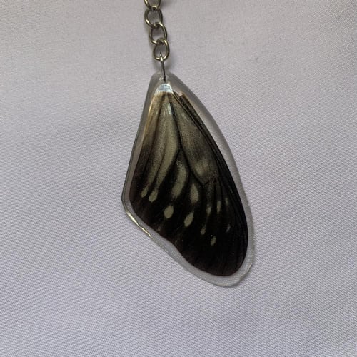 ميداليه جناح فراشة