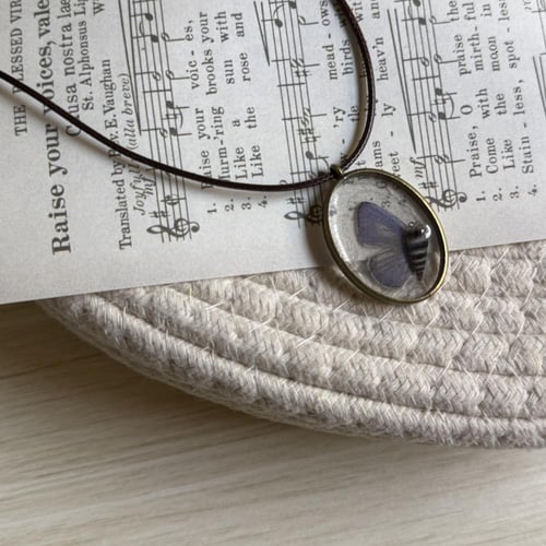 قلادة جناح اصغر فراشة مع صدفه