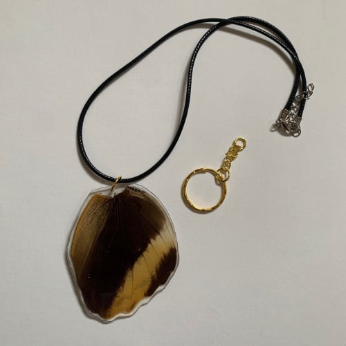 قلادة و ميدالية جناح فراشة البومة العملاقة