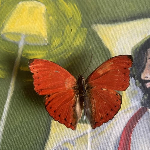 It’s red ️ ) رسمة يدوية زيتية