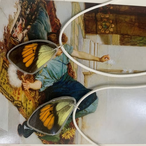 سلسال جناح الفراشة الحقيقية (عشوائي)