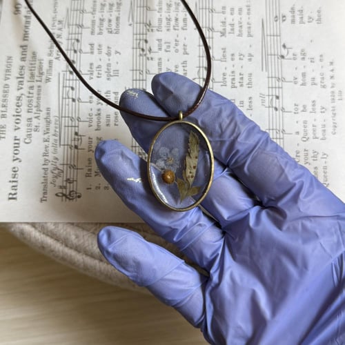 قلادة الدعسوقة