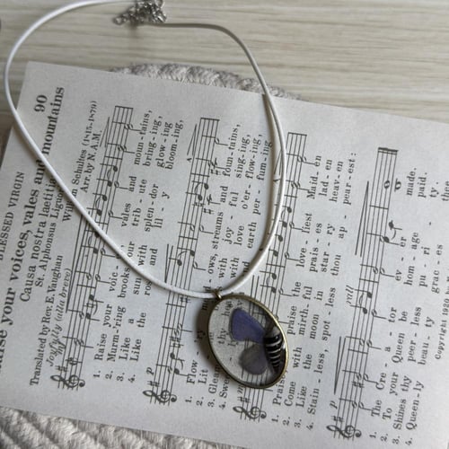 قلادة جناح اصغر فراشة و صدفه