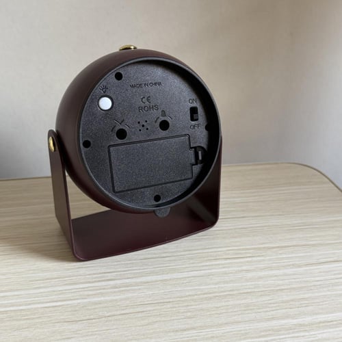 فراشة مونارش الملكية نجمه بحر حقيقي