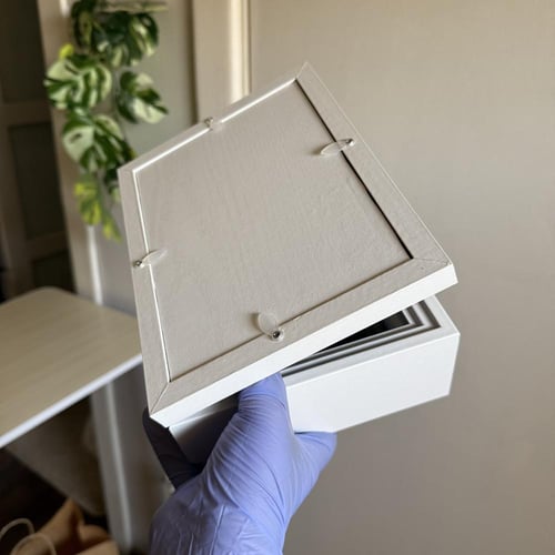 فراشة غروب القمر