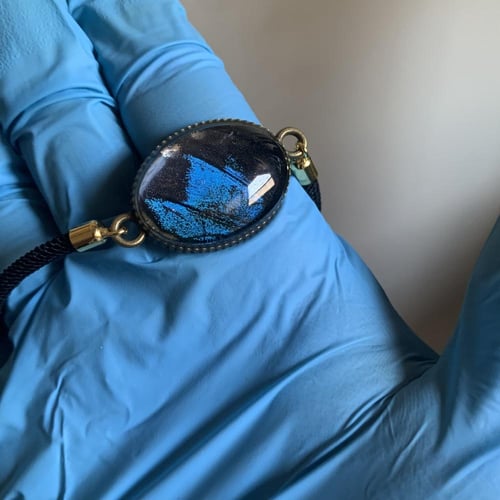 سوارة جناح فراشة البابليو الزرقاء