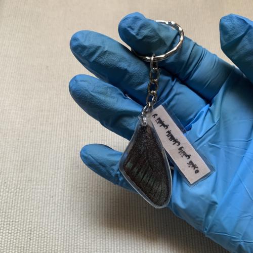 ميدالية جناح فراشة 10