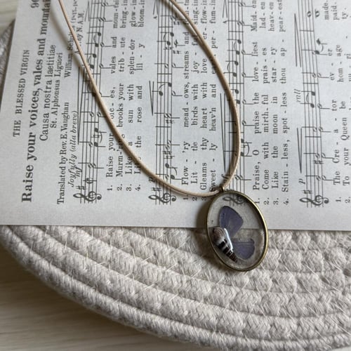 قلادة جناح اصغر فراشة و صدفه