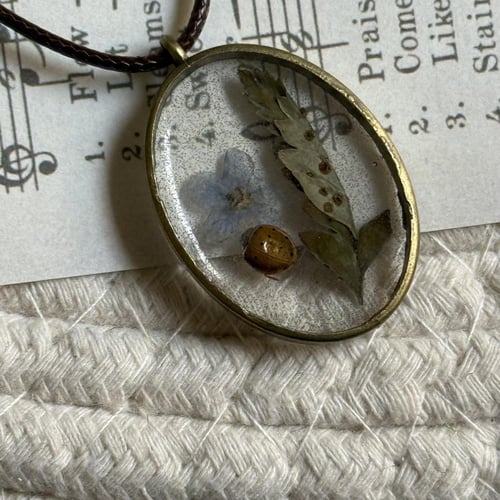 قلادة الدعسوقة
