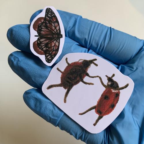 ستكر ladybug