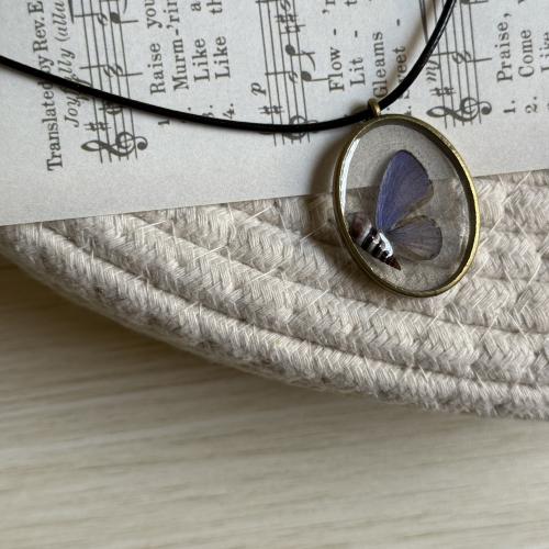 قلادة جناح اصغر فراشة مع صدفة