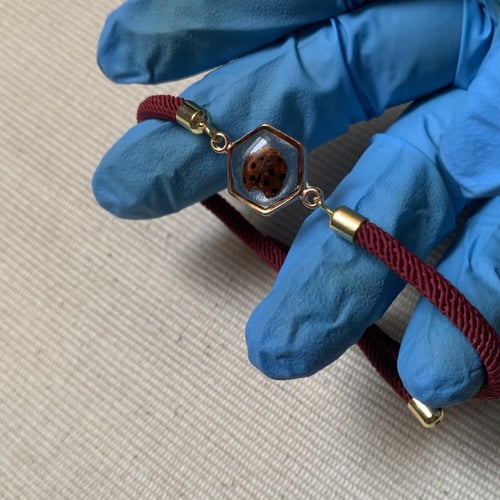 اسواره دعسوقةاحمر