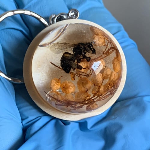 ميدالية نحلة حقيقية