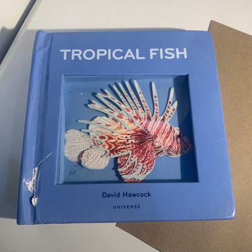 كتاب بوب اب (اسماك)