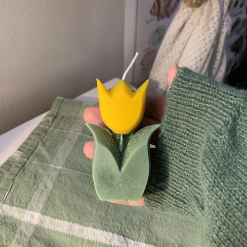 شمعة الزهرة