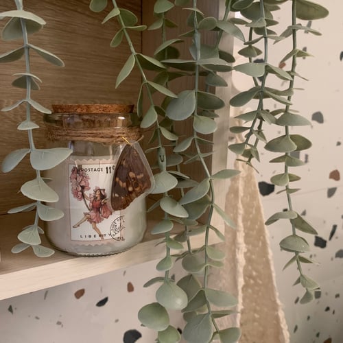 شمعة جناح الفراشة رائحة الشمام