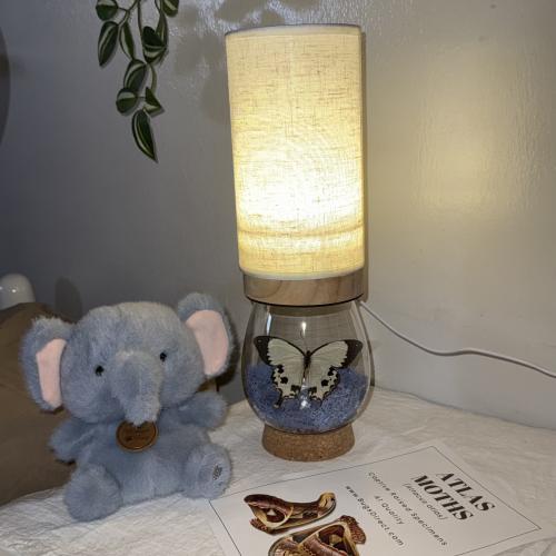 أبجورة الفراشات