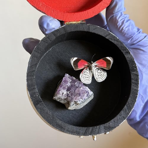 رسم يدوي مع فراشه 88 ♥️