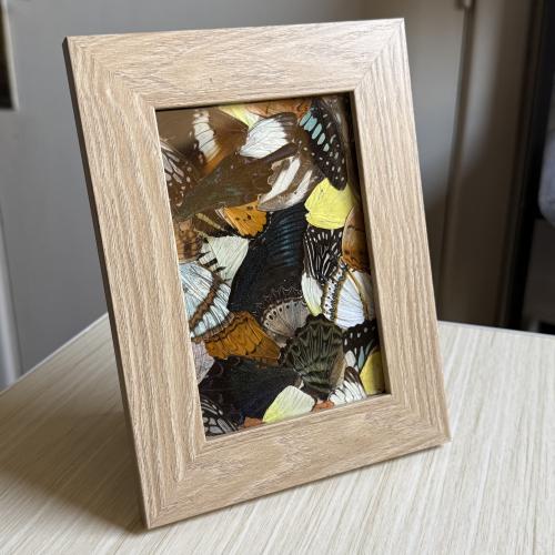 لوحة اجنحة فراشات ملونه