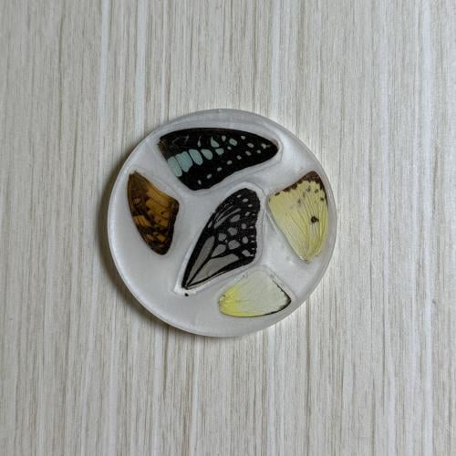 قاعدة كوب من اجنحة فراشات حقيقية