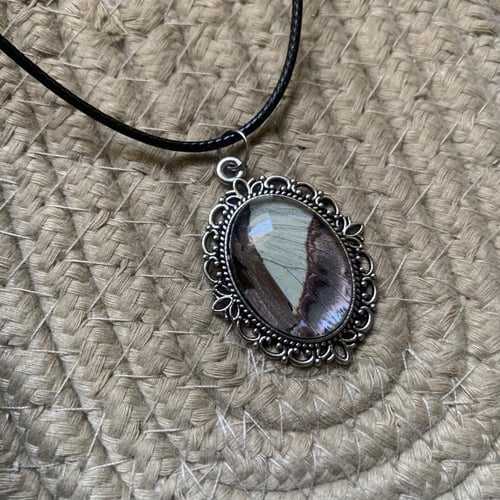 سلسال جناح فراشة