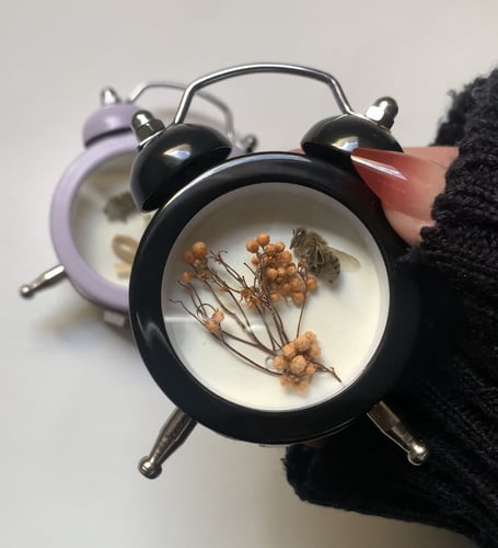 نحلة في ساعة صغيرة جدا لون اسود