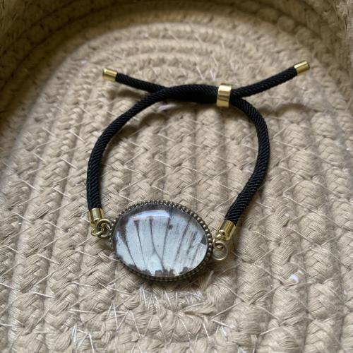 اسورة جناح فراشة