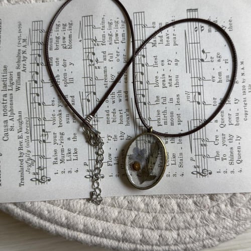 قلادة الدعسوقة