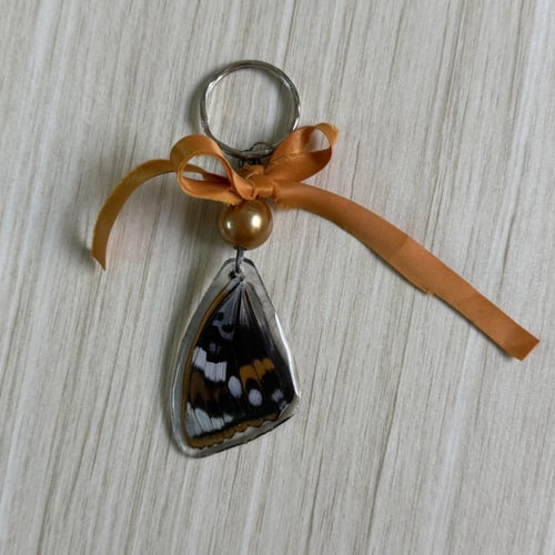 ميدالية جناح فراشة