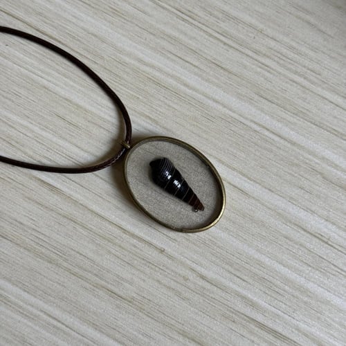 قلادة الصدفه Faunus ater