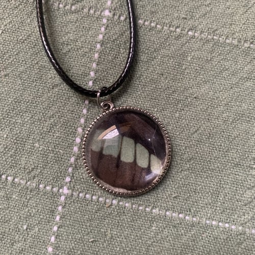 سلسال جناح فراشة5