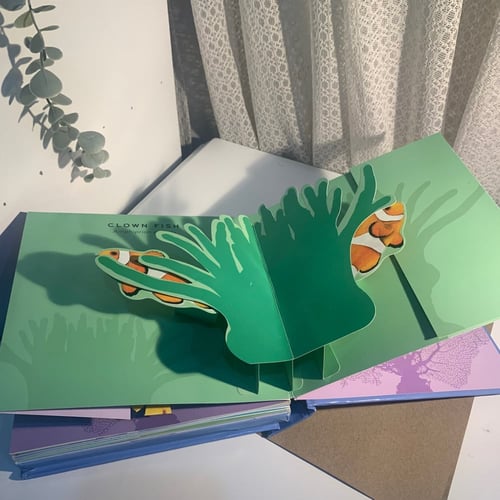 كتاب بوب اب (اسماك)