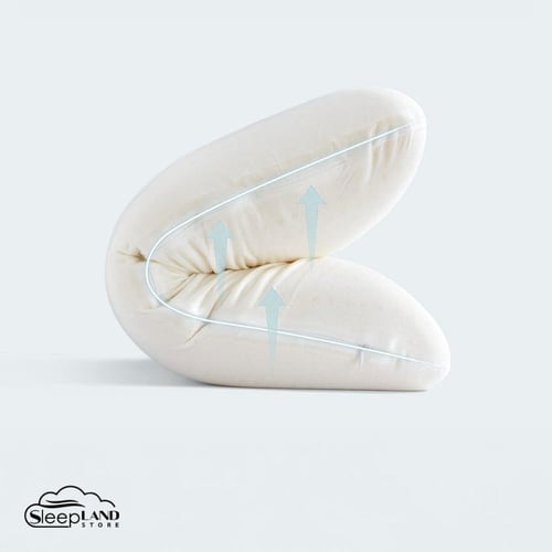 مخدة لاتكس طبية