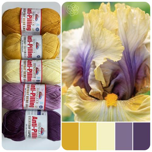 البنفسج الاصفر