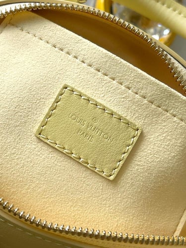 لوي فيتون Speedy Bandoulière 20 مقاس20.5cm