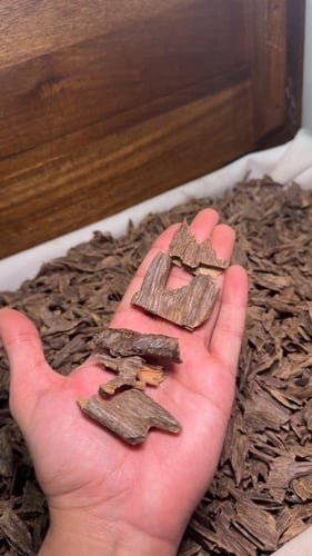 عود هندي طبيعي جامبو موري