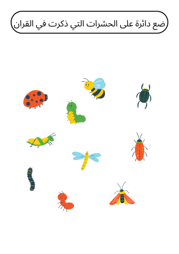 12 activity model of the insects unit pdf