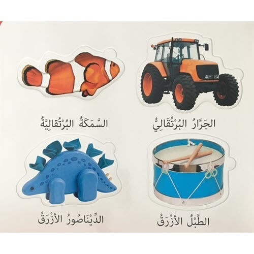 التعليم أولا - الألوان