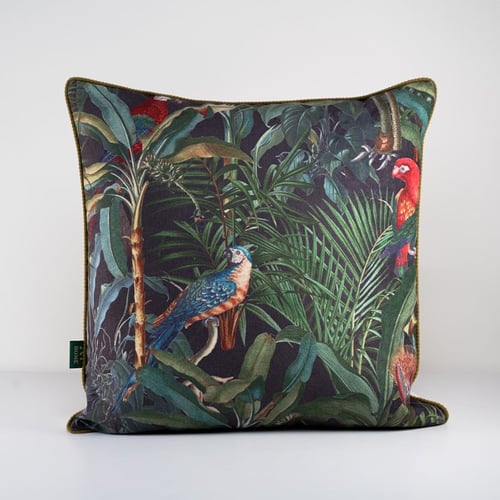 Parrot Rio 2-(50*50cm)