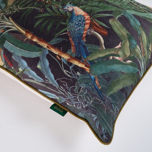 Parrot Rio 2-(50*50cm)