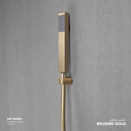 طقم سماعة دش SW002