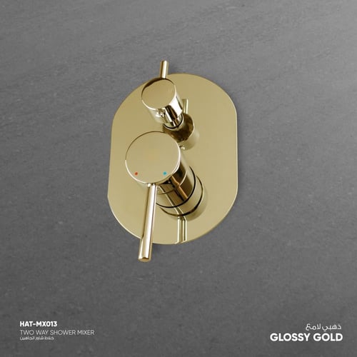 خلاط دش ثنائي الاتجاه MX013R