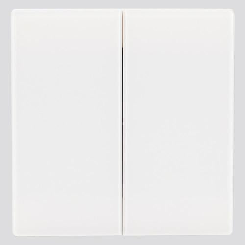 مفتاح ثنائي