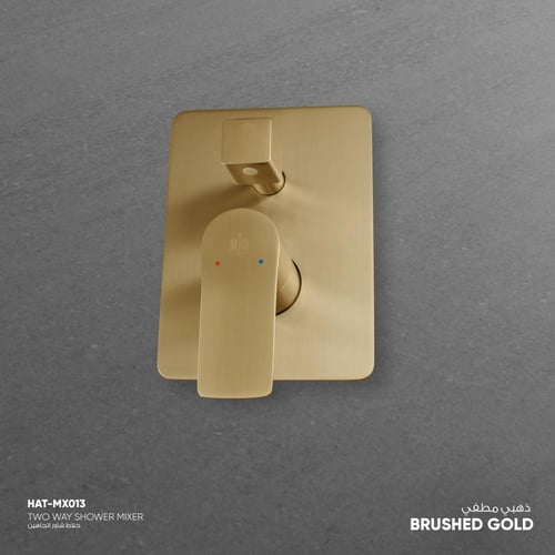 خلاط دش ثنائي الاتجاه MX013S
