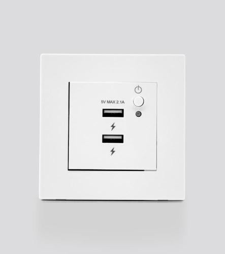 Dual USB socket