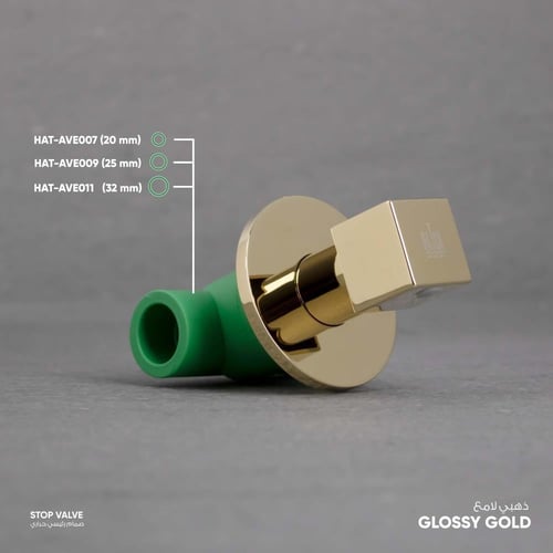 صمام رئيسي حراري ( محبس رئيسي ) AVE007