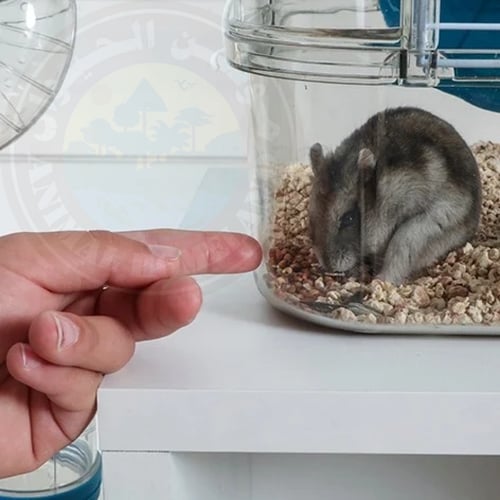 زولكس رودي 3 سولو قفص للهامستر والقوارض بطابق واحد...