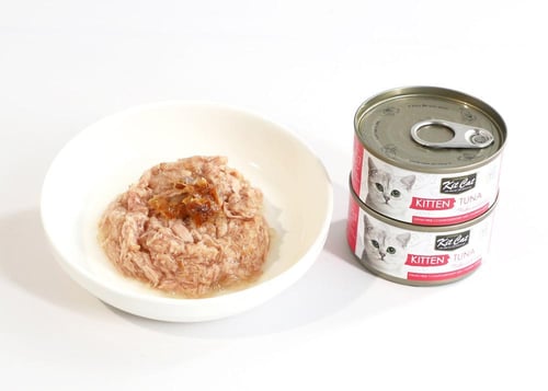 كت كات كيتين طعام رطب للقطط الصغيرة رقائق التونة ف...