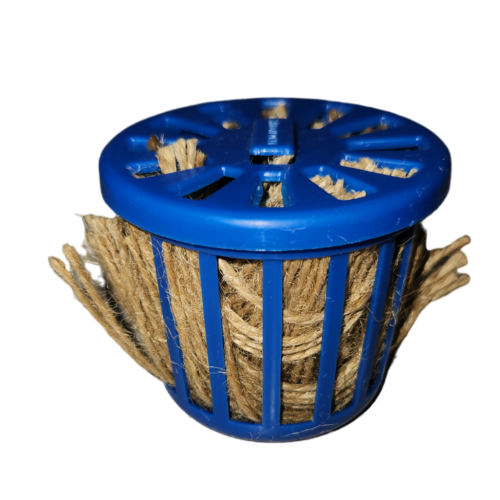 خيوط تعشيش الزيبرا والكناري