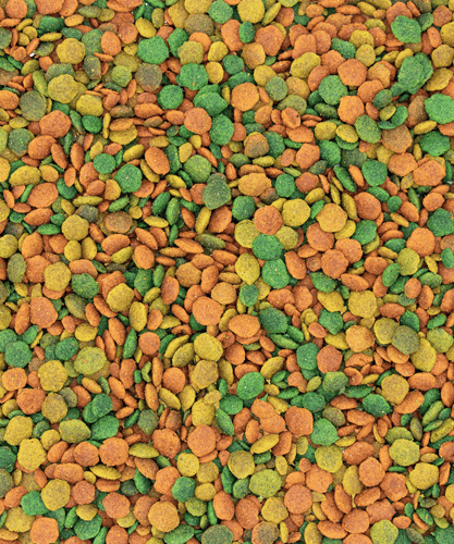 فيرسل لاقا نيوتري بيرد G14 الاستوائي مكافآت صحية ل...